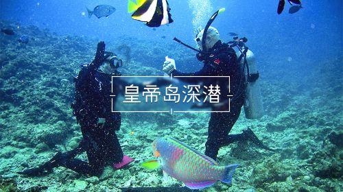 疾风之刃